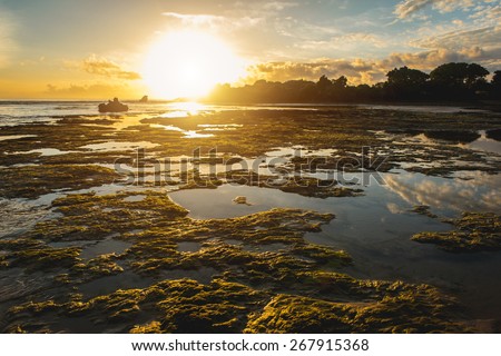 Sun rise from the trees and reflect in the low water of the sea. Sunrise low tide
