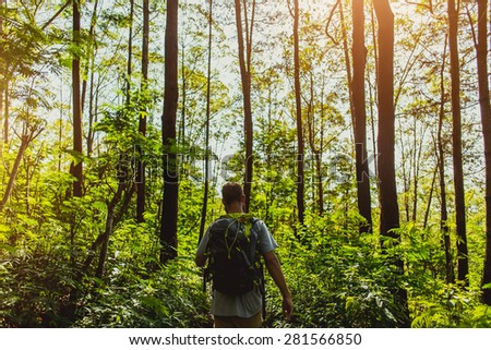 Man walk in forest with backpack