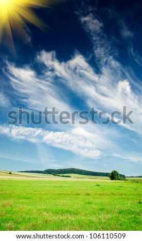 Wonderful summer meadow and  blue sky.