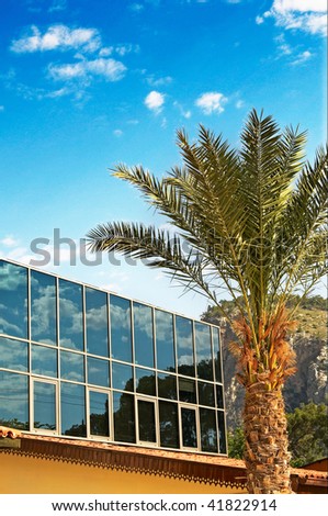 Palm, modern office and wonderful blue sky.