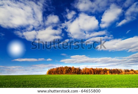 Beautiful autumnal view of  green wheat field, brown grove. and fun sun in the sky.