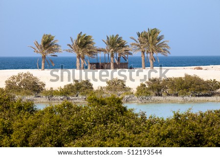 Mangroves and palm trees on Sir Bani Yas island, UAE