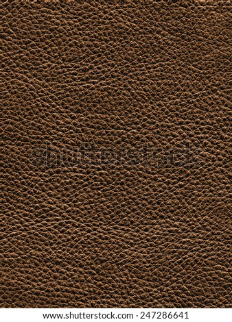 Leather cow hide texture