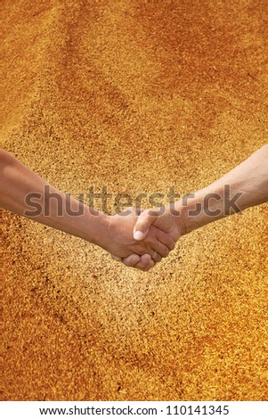 Two farmer\'s hands handshake against the background of the harvest of wheat.