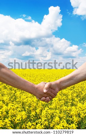 Two farmer\'s hands handshake at the harvest rape field.