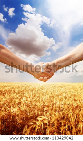 Farmers handshake at wheat field background.