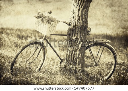 Vintage bicycle waiting near tree. Photo in old image color style.