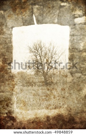 Tree in frame arch. Photo in old image style.