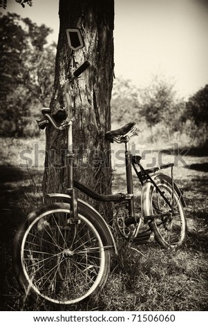Old bike near tree. Photo in old black style.