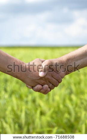 Farmers handshake in green wheat field.