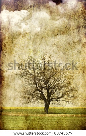 Lonely tree at field.  Photo in old color image style.