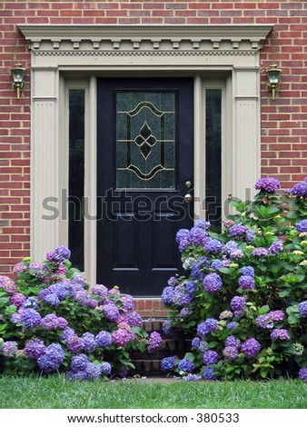 flowers around a fancy door