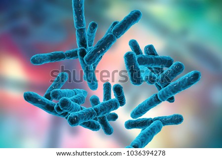 Bacteria Bifidobacterium, gram-positive anaerobic rod-shaped bacteria which are part of normal flora of human intestine are used as probiotics and in yoghurt production. 3D illustration