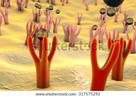 Membrane of cell surface with receptors and molecules coming to receptors