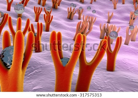 Membrane of cell surface with receptors and molecules coming to receptors