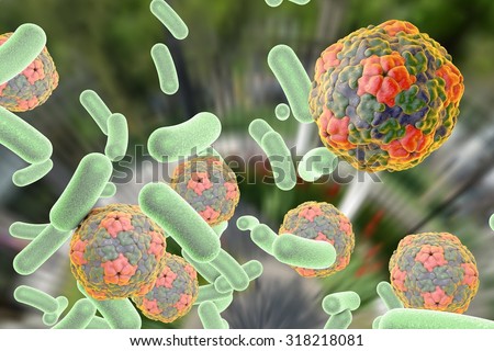 Bacteria and viruses Hepatitis A virus on colorful background Medical background Healthcare background Bacteria and viruses Hepatitis A virus on colorful background Medical background Healthcare background