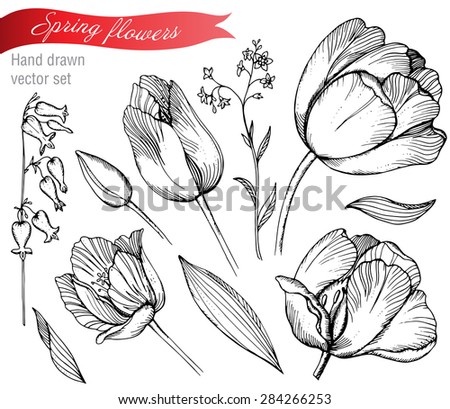 Vector set of graphic spring flowers (tulips, forget-me-not). Elements for design.
