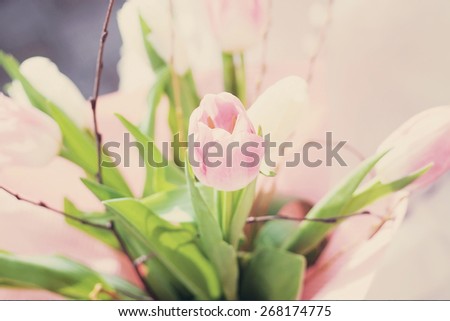 bouquet of pink tulips gentle tones flower