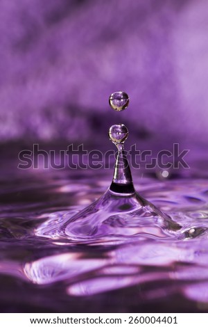 Water splash with drops on dark purple background.
