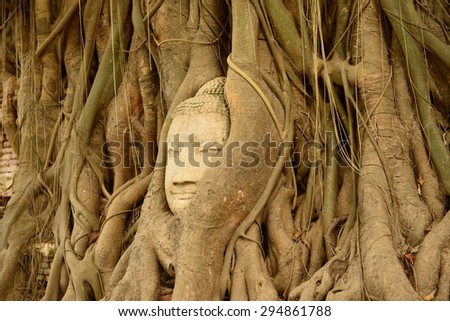 Ancient Buddha Statue in tree roots at Mahatat Temple, Ayutthaya, Thailand
