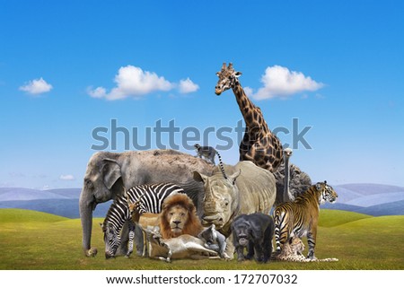 Wild Animals Group
