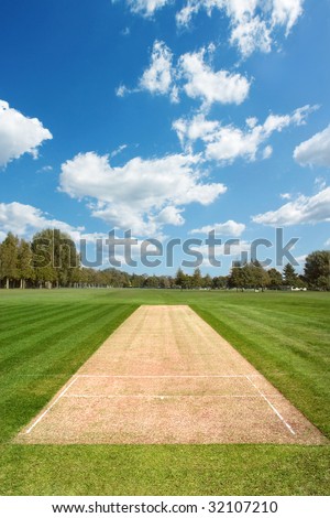 cricket pitch texture