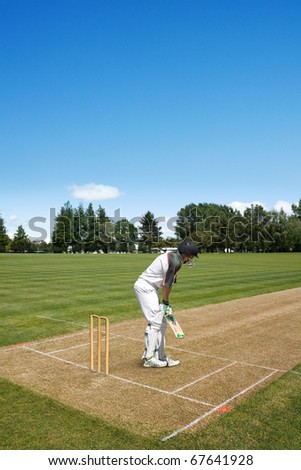 Batsman on the cricket field