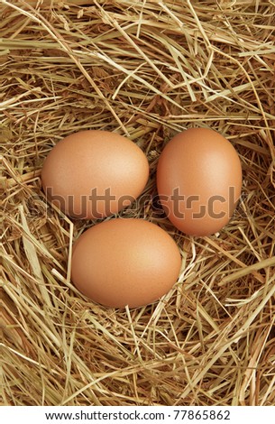 Three eggs in a straw nest