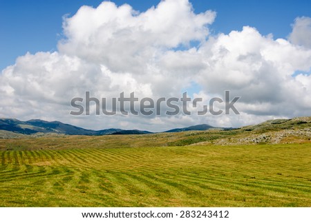 green field with sky and cloud with far mountain landscape