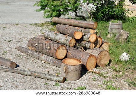 Pile of logs put on green grass and pebble road