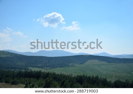 Green hills with pine trees in spring