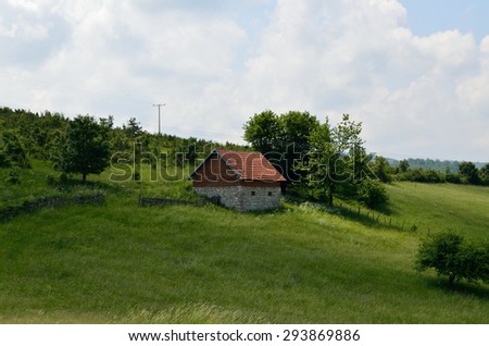 Mountain village house and pines beneath blue cloudy sky