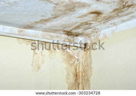 Mold in the corner of the white ceiling and yellow wall, with white rusty heat pipe.