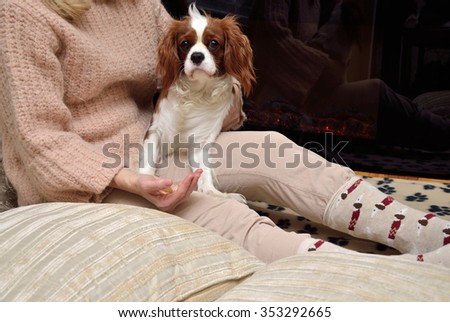 Lady and dog (Cavalier King Charles spaniel) sitting by the fireplace