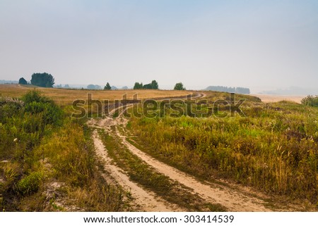 Country ground road in wheaten field. Summer landscape Rural scene.