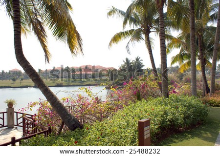Coast of the southern sea, tropical garden with palm trees, Sanya, China