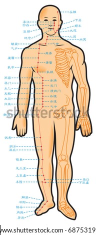 Chinese acupuncture points, with native hieroglyphic names, vector illustration