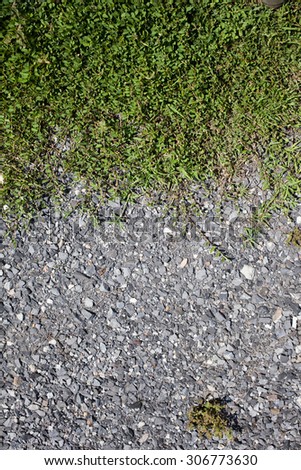 green  grass between   stone pebble. It is a good live together nature,