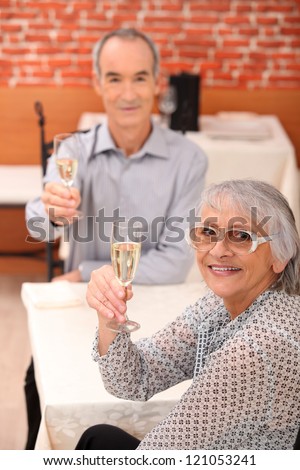 Elderly couple toasting each other in restaurant
