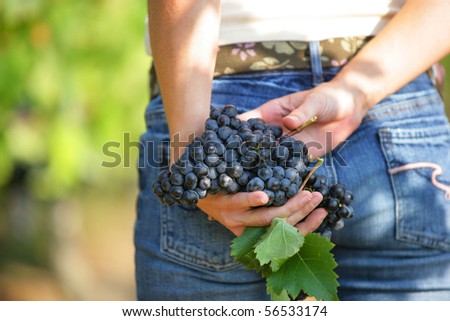 Woman with bunch of grapes in the hands