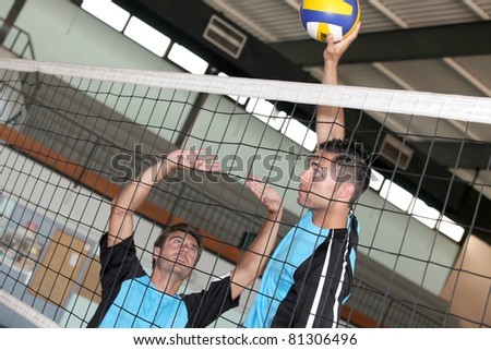 volley-ball players in action