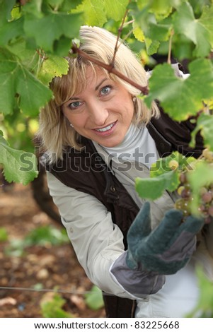 portrait of a wine-grower