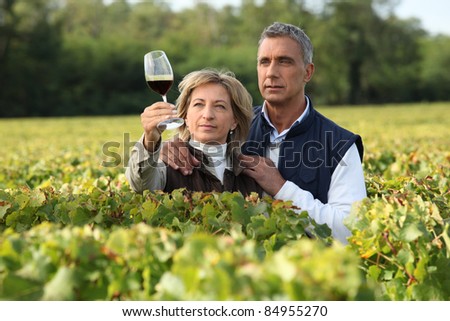 Couple checking wine in a vineyard