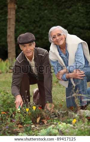 senior couple gardening