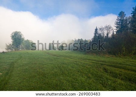 Beautiful summer morning in wood with sun rays and a fog from the river