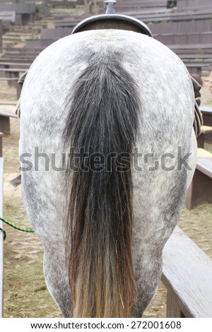Horse Bottom and Horse Tail, close-up