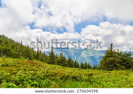 Chuprene biosphere reserve and peak Midzhur in the clouds, Bulgaria. The reserve is situated on the ridge and the northeastern slopes of Chiprovska Mountain, West Balkan Mountains.