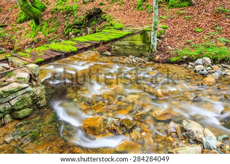 Small river in Balkan Mountains crossed by a bridge covered with moss. In the spring.