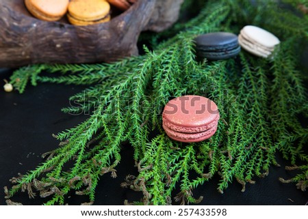Colorful macarons on pine tree on black  background. Macaron is sweet meringue-based confection.