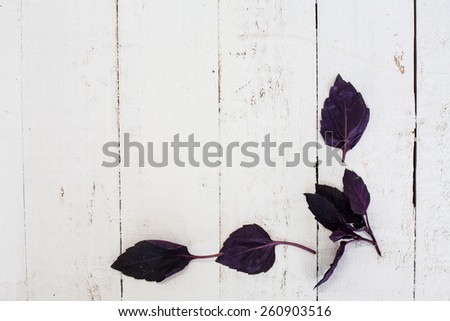 Fresh purple basil